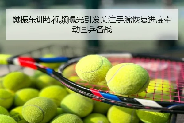 樊振东训练视频曝光引发关注手腕恢复进度牵动国乒备战